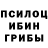 Псилоцибиновые грибы мухоморы Daeva Skye