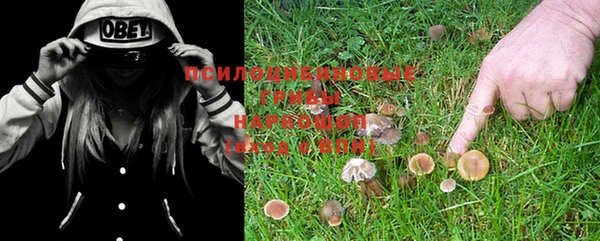 кокс Балабаново